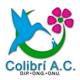 Colibri%20fondo%20transparente