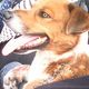 Img 20140718 wa006