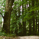 Camino%20by%20sonja%20langford