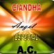 Logo%20de%20ciandha