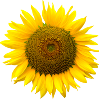 Png 1