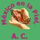 Logomexico