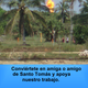 Apoyo