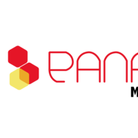 Logo%20panal%20me%cc%81xico%20%281%29