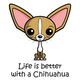 Life is better with a chihuahua