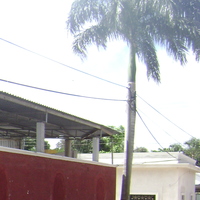 Entregas%202013%20041