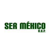 Logotipo sermexico cuadro