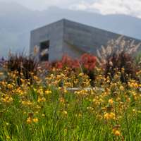 Crgs jardin udem 0